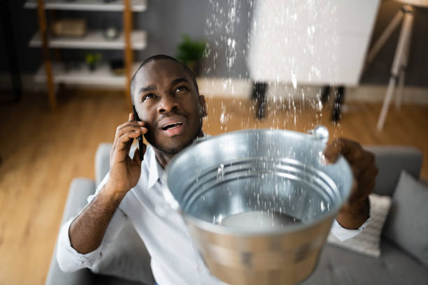 Best Ceiling water damage repair  in Fremont, CA