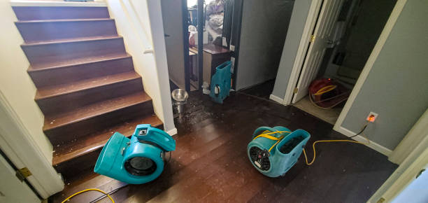 Water damage restoration experts in Fremont, CA