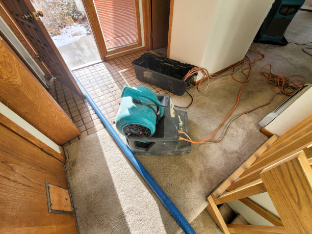 Best Basement water damage restoration  in Fremont, CA