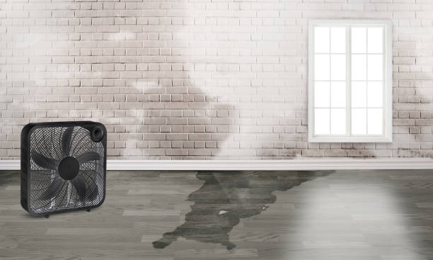 Best 24-hour water damage restoration  in Fremont, CA